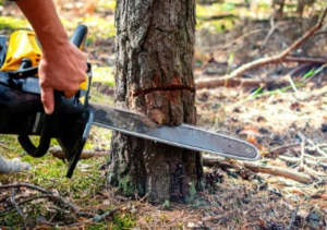 Capture decran 2026 04 13 193639